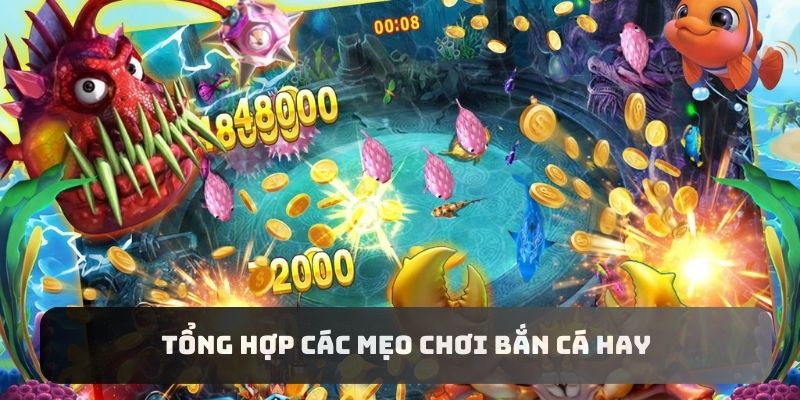 Chỉ hội viên các mẹo chơi bắn cá hay